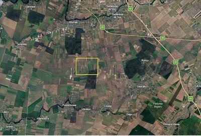 Teren de 20000 mp, în Afumați - 3