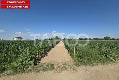 Teren Construcții intravilan de 3150 mp, în Vad - 1
