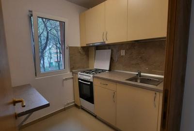 Apartament cu 2 camere decomandat, mobilat în Teiul Doamnei - 7