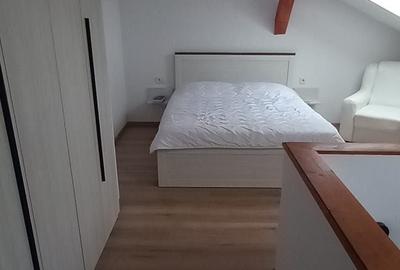 Apartament cu 2 camere semidecomandat în Sânpetru - 6
