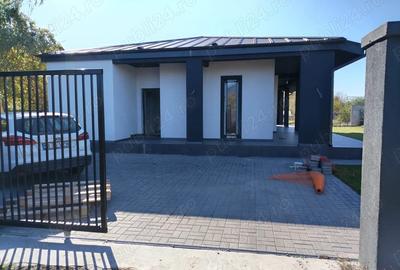 Casă cu 3 camere cu Teren 515 Mp în Ciofliceni - 1