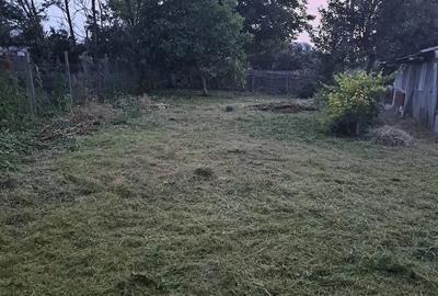 Casă cu Teren 464 Mp în Puiești
