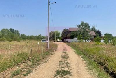 Teren de 1000 mp, în Domnești