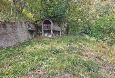 Casă cu 5 camere cu Teren 1000 Mp în Dealu Mic