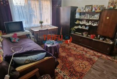 Casă cu 2 camere în Totoi - 4