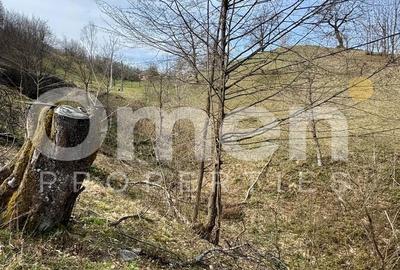 Teren agricol intravilan de 6476 mp, în Ulmoasa - 4