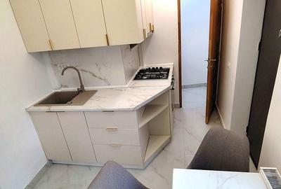 Apartament cu 3 camere semidecomandat în Banu Manta - 4