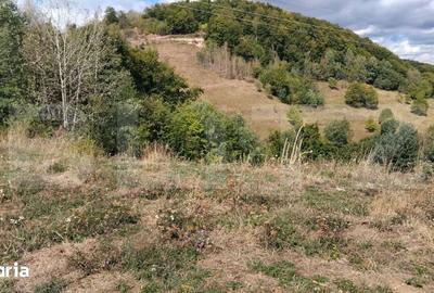 Teren de 1500 mp, în Râmeț