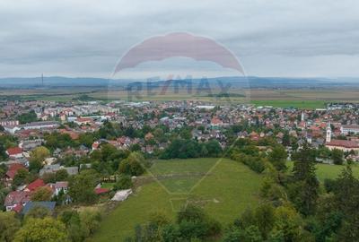 Teren Construcții intravilan de 726 mp, în Central - 4