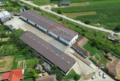 Spațiu comercial, de 2,500 mp, în Sângeorgiu de Pădure - 14