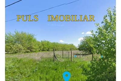 Teren Construcții intravilan de 3000 mp, în Topalu - 5