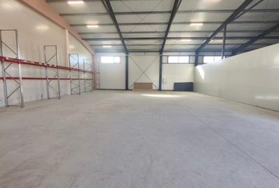 Spațiu industrial, de 300 mp, în Moșnița Nouă - 1