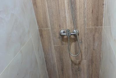 Garsonieră decomandată în Viziru 1