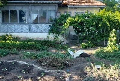 Casă cu 5 camere cu Teren 2065 Mp în Zărnești