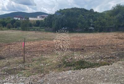 Teren Construcții intravilan de 1200 mp, în Viișoara - 2