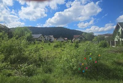 Teren Construcții intravilan de 2163 mp, în Bunloc - 7