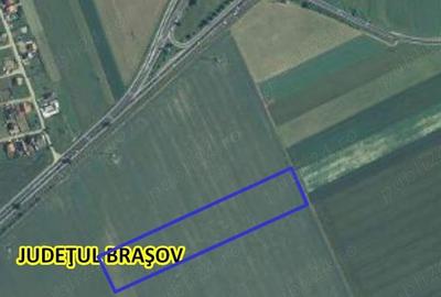 Teren de 27700 mp, în Hărman - 2