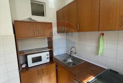 Apartament cu 1 camere semidecomandat, mobilat în Micălaca - 9