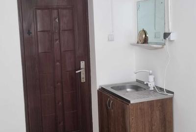 Apartament în Bucium - 3
