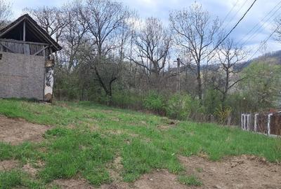 Casă individuală cu 5 camere cu Teren 2671 Mp în Plaiu (Provița de Sus) - 5