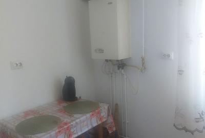 Apartament cu 2 camere semidecomandat în Podu Roș - 2