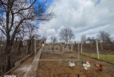 Casă cu 4 camere cu Teren 540 Mp în Șura Mare - 2
