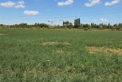 Teren Construcții intravilan de 5000 mp, în Splaiul Unirii - 2