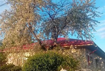 Casă cu 3 camere în Ceptura