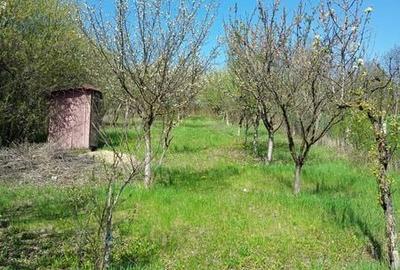 Teren de 1700 mp, în Săndulești - 5
