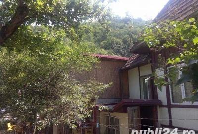 Casă cu 4 camere cu Teren 340 Mp în Castelul Peleș - 4