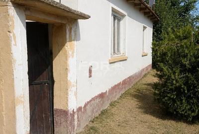 Casă cu 3 camere cu Teren 1133 Mp în Tulca
