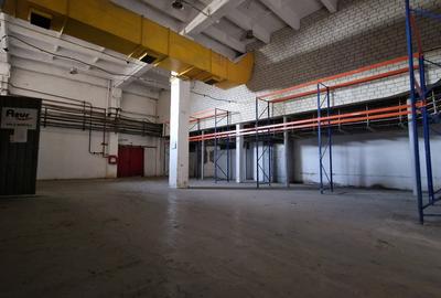 Spațiu industrial, de 8,000 mp, în Buziașului - 1