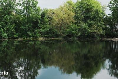 Teren de 63000 mp, în Vânătorii Mici - 6