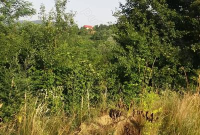 Teren de 1900 mp, în Fedeleșoiu - 7