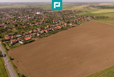Teren de 28500 mp, în Șofronea - 3