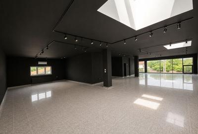 Spațiu comercial, de 250 mp, în Mărăști - 1