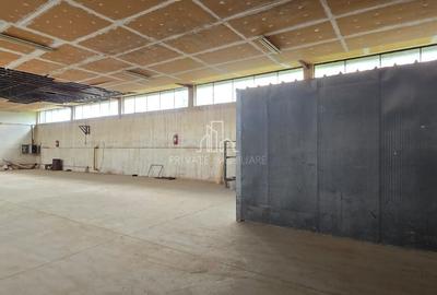 Spațiu industrial, de 3,000 mp, în Est - 21