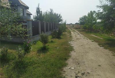 Teren de 600 mp, în Frumușani - 3