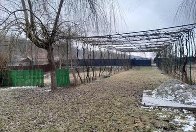 Casă cu 2 camere în Central - 2