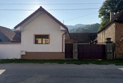 Casă cu 3 camere în Noua