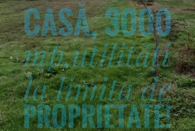 Teren de 3000 mp, în Petrești - 8