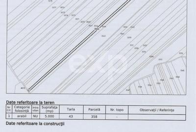 Teren agricol extravilan de 23000 mp, în Mareș - 2