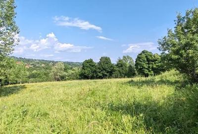 Teren de 5523 mp, în Vaideeni - 1