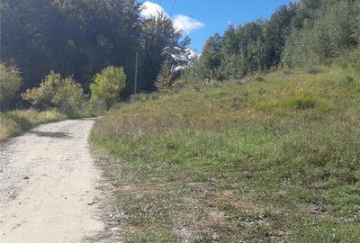Teren de 5117 mp, în Central - 5