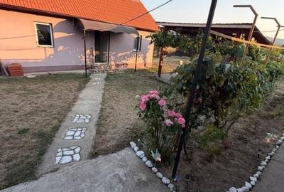 Casă cu 3 camere în Central
