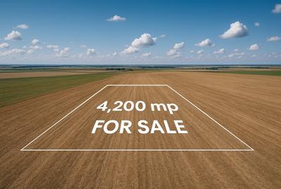 Teren de 4200 mp, în Daia Română