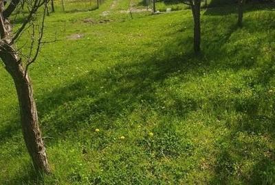 Teren de 750 mp, în Chiojdu