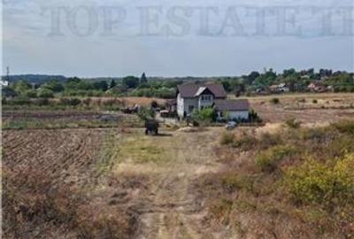 Casă individuală cu 7 camere cu Teren 33000 Mp în Bucșani - 12