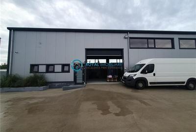 Spațiu industrial, de 365.98001098633 mp, în Păulești - 2