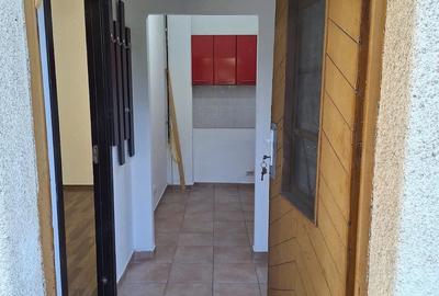 Apartament cu 2 camere semidecomandat în Iosefin